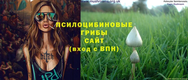 2c-b Абдулино
