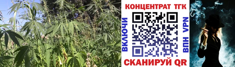 ТГК Wax  omg ONION  Губкин 